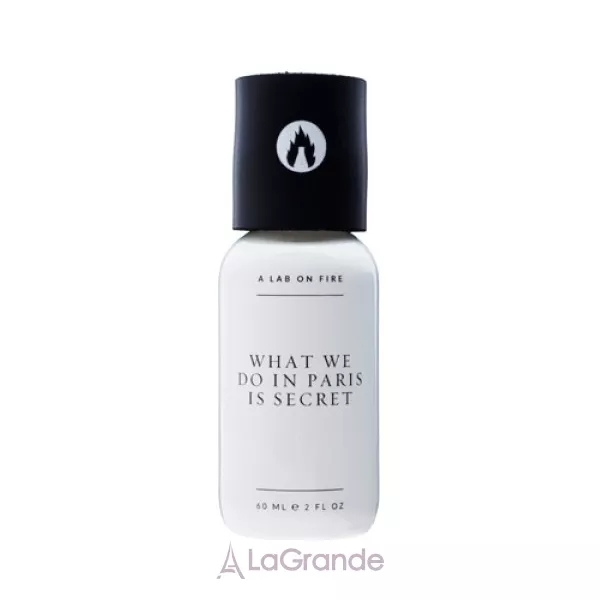 A Lab on Fire What We Do In Paris Is Secret ��������������� ����
