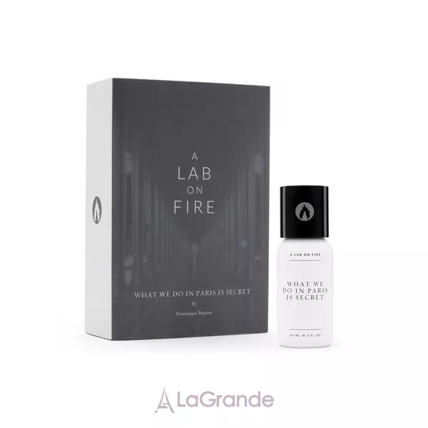 A Lab on Fire What We Do In Paris Is Secret ��������������� ����