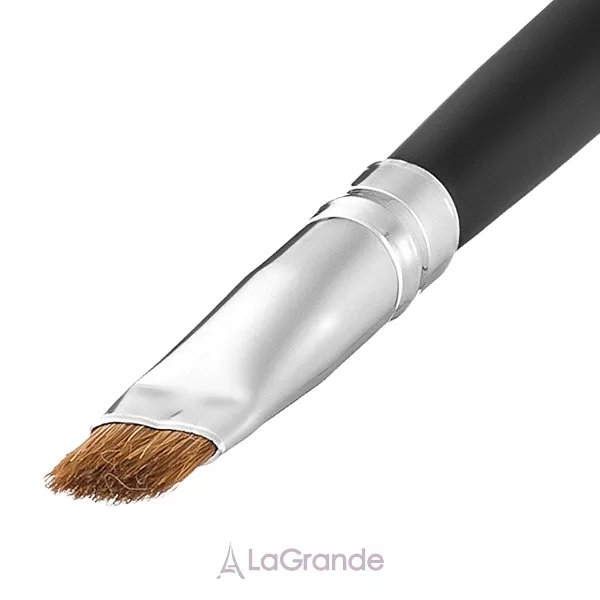 Colordance Brush �20 ����� ��� ������ ���������