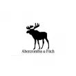 Abercrombie & Fitch Fierce Confidence 