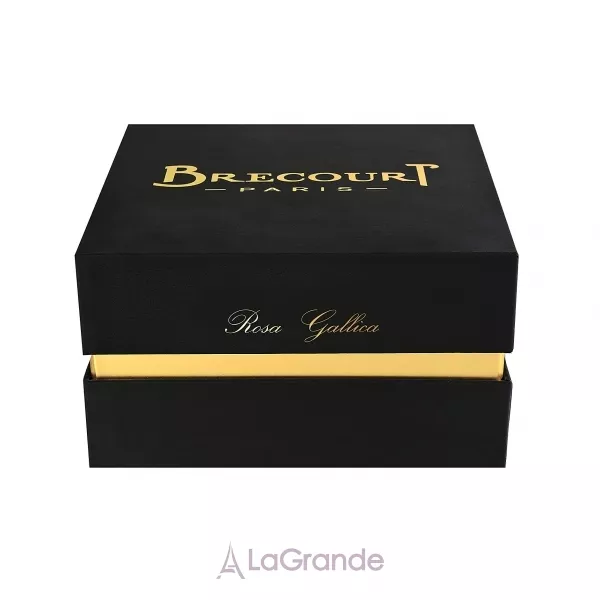 Brecourt Rosa Gallica ��������������� ����