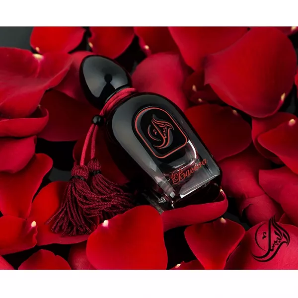 Arabesque Perfumes Bacara ���� (������)