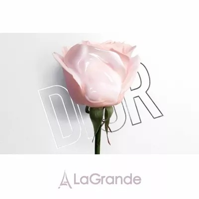 Christian Dior Miss Dior Eau de Parfum 2017    