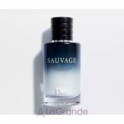 Christian Dior Sauvage 2015    ()