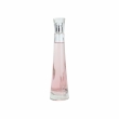 Ghost Anticipation 75ml