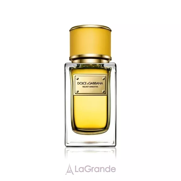 Dolce & Gabbana Velvet Ginestra ��������������� ����