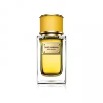 Dolce & Gabbana Velvet Ginestra ��������������� ���� (������)