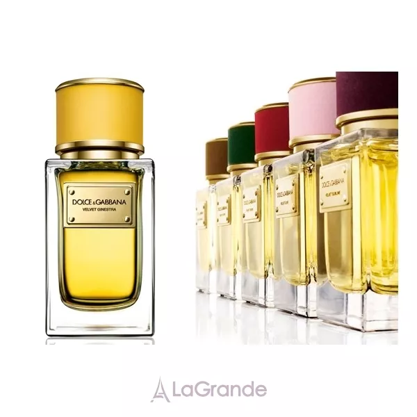 Dolce & Gabbana Velvet Ginestra ��������������� ���� (������)