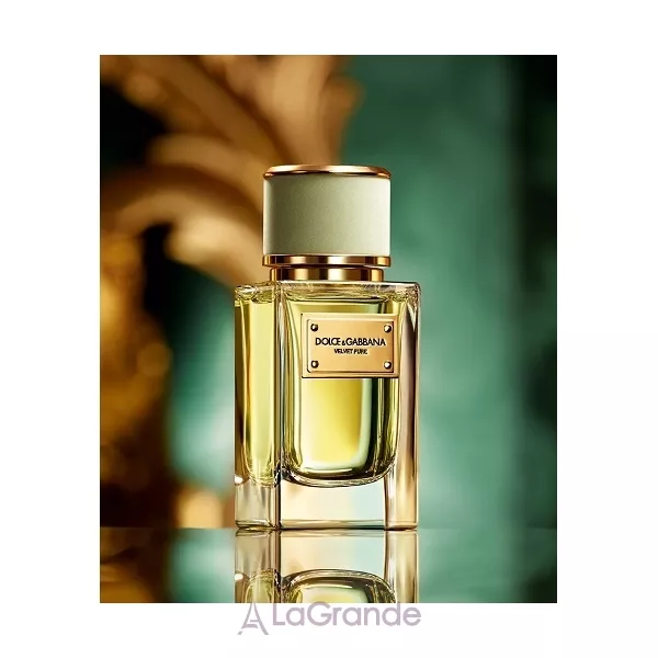 Dolce & Gabbana Velvet Ginestra ��������������� ���� (������)