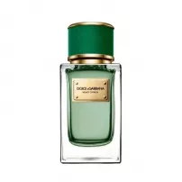 Dolce & Gabbana Velvet Cypress ��������������� ����