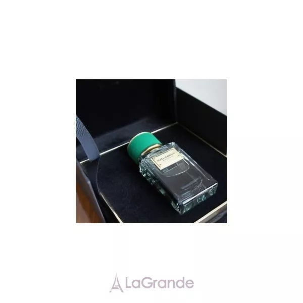 Dolce & Gabbana Velvet Cypress ����������� ����