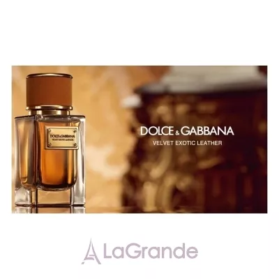 Dolce & Gabbana Velvet Exotic Leather  