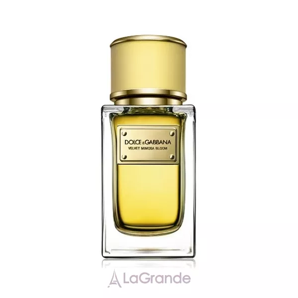 Dolce & Gabbana Velvet Mimosa Bloom ����������� ����