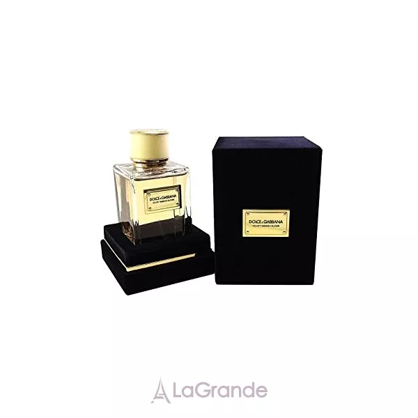 Dolce & Gabbana Velvet Mimosa Bloom ����������� ����