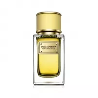 Dolce & Gabbana Velvet Mimosa Bloom ��������������� ���� (������ ��� ��������)