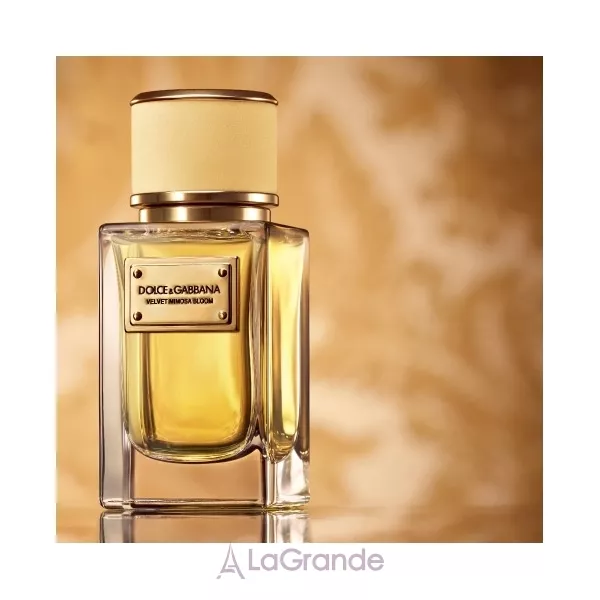 Dolce & Gabbana Velvet Mimosa Bloom ����������� ���� (������ ��� ��������)