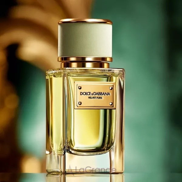 Dolce & Gabbana Velvet Pure ��������������� ����