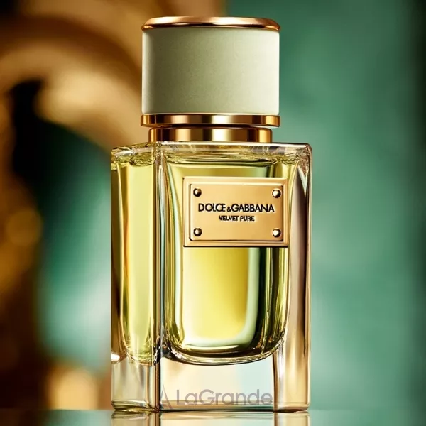 Dolce & Gabbana Velvet Pure ��������������� ���� (������ ��� ��������)
