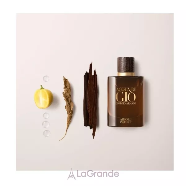 Armani Acqua di Gio Absolu Instinct ��������������� ���� (������)