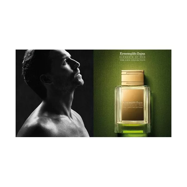 Ermenegildo Zegna  Wisdom ���� (������)