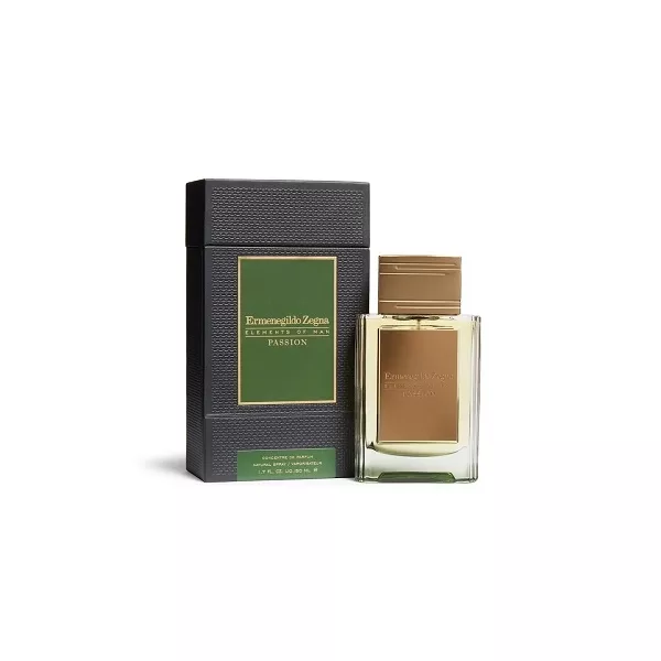 Ermenegildo Zegna  Wisdom ���� (������)