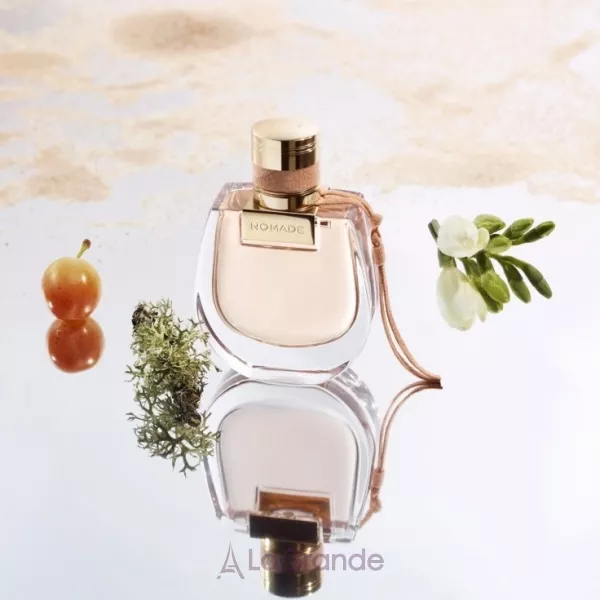 Chloe Nomade ����� (��������������� ���� 75 �� + ������� ��� ���� 100 �� + ��������������� ���� 5 ��)