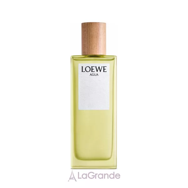 Loewe Agua de Loewe �������� ���� (������)