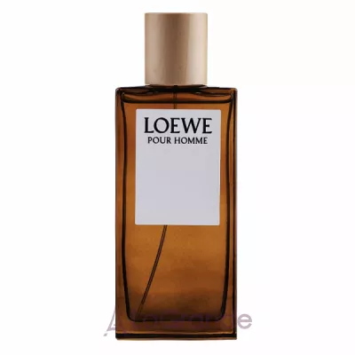 Loewe Pour Homme   ()