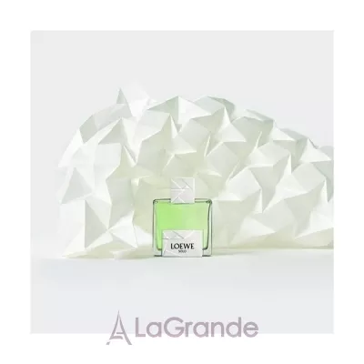 Loewe Solo Loewe Origami   (  )