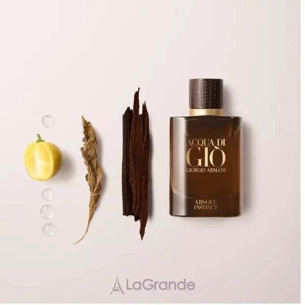 Armani Acqua di Gio Absolu Instinct ��������������� ����