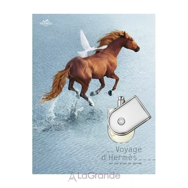 Hermes Voyage D`Hermes ����� (��������� ���� 5 �� + ���� ��� ���� 30 ��)