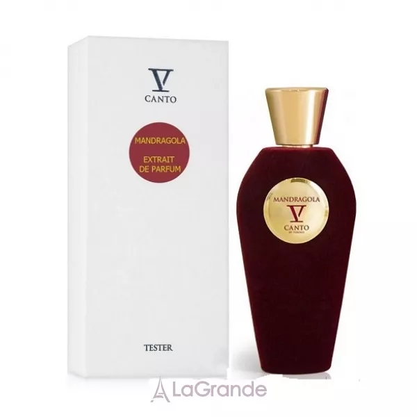 V Canto Mandragola ��������������� ���� (������ ��� ��������)