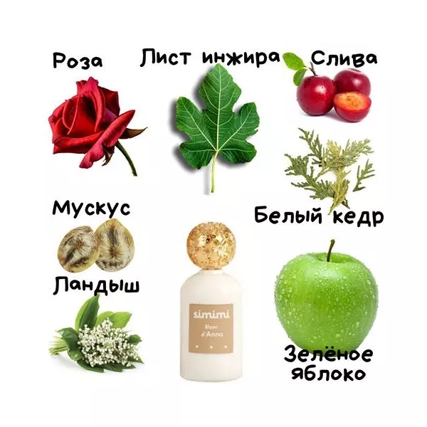 Simimi Blanc d'Anna ����������� ���� (������)