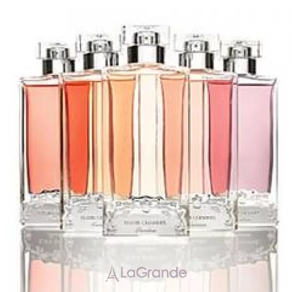 Guerlain Elixir Charnel Gourmand Coquin ����������� ����