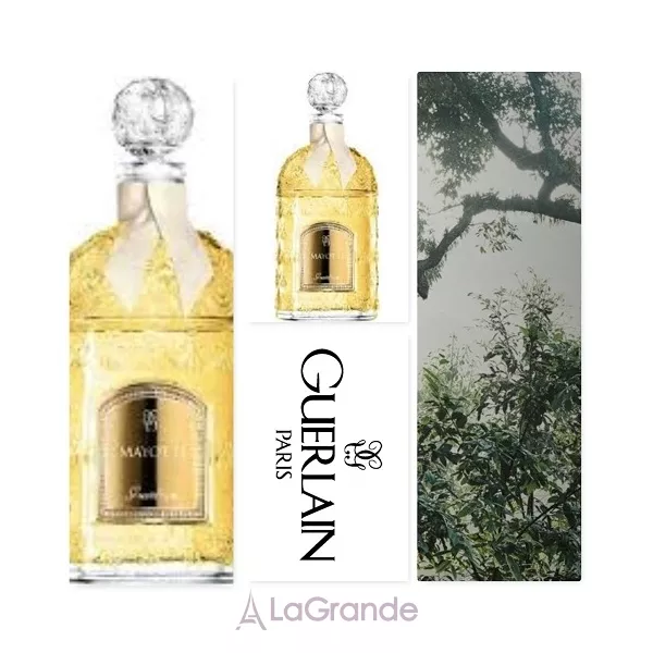 Guerlain Mayotte ��������������� ���� (������ ��� ��������)