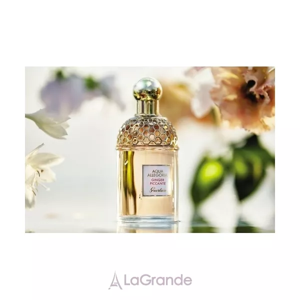 Guerlain Aqua Allegoria Ginger Piccante ��������� ����