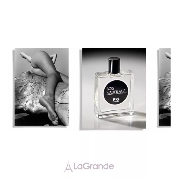 Pierre Guillaume Bois Naufrage ����������� ���� (������)