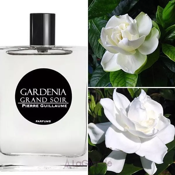 PG Gardenia Grand Soir �������� ���� (������)