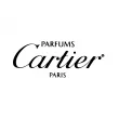 Cartier La Panthere Filaire Edition   ()
