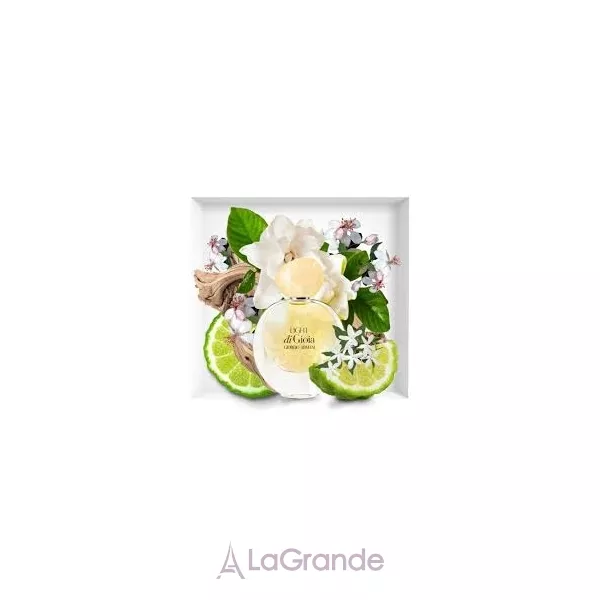 Giorgio Armani  Light di Gioia ��������������� ���� (������)