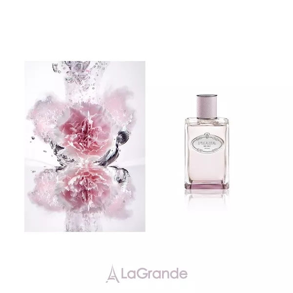 Prada Infusion de Rose ��������������� ���� (������ ��� ��������)