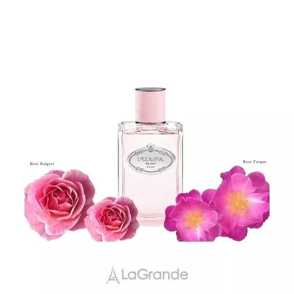 Prada Infusion de Rose ��������������� ���� (������ ��� ��������)