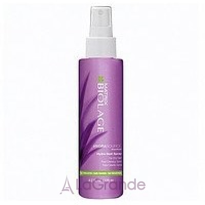 Matrix Biolage Hydrasource Spray  -   