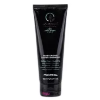 Paul Mitchell Awapuhi Wild Ginger Moisturizing Lather Shampoo ����������� ������� ��� ��������� � ���������