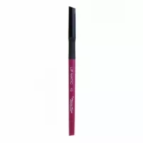 Pierre Rene Lip Matic ������������ ������ ��� ���