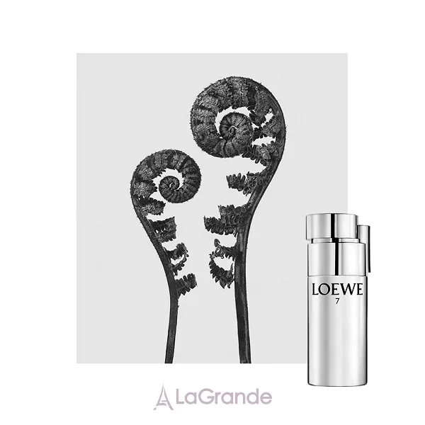 Loewe 7 Plata �������� ����