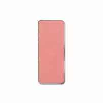 Pierre Rene Palette Match System ������