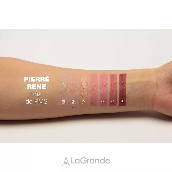 Pierre Rene Palette Match System ������