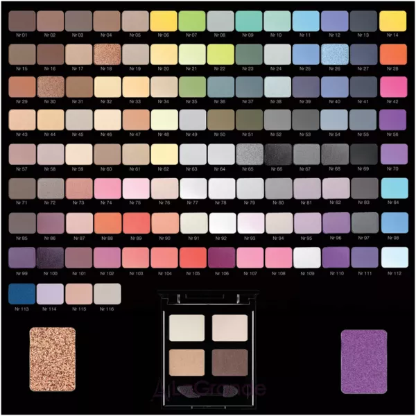 Pierre Rene Palette Match System ���� ��� ���
