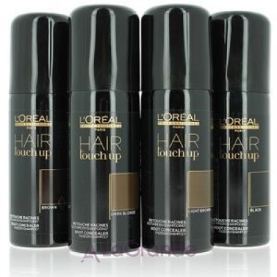 L'Oreal Professionnel Hair Touch Up   